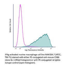 InVivoMAb anti-mouse CD86 (B7-2) | Bio X Cell