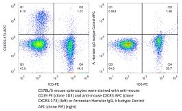 InVivoMAb anti-mouse CXCR3 (CD183) | Bio X Cell