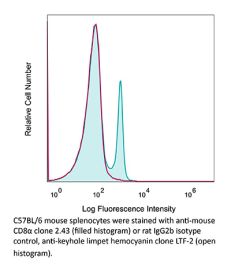 InVivoPlus anti-mouse CD8α (Clone: 2.43) | Bio X Cell