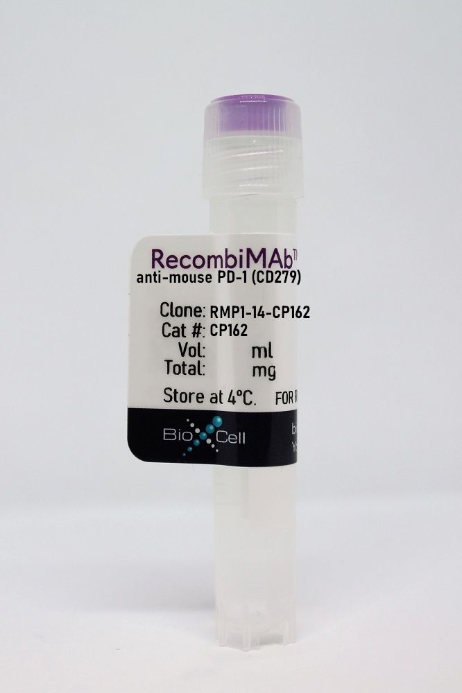 RecombiMAb anti-mouse PD-1 (RMP1-14-CP162) | Bio X Cell