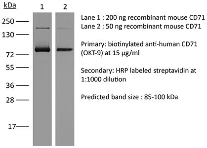 HUMAN BIOLOGY 第17版 Human Biology 17Th Edition (International edition), textbook