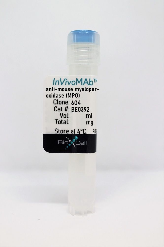 N★  ZC3H14 facilitates backsplicing by binding to exon-intron
