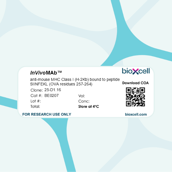 InVivoMAb anti-mouse MHC Class I (H-2Kb) bound to SIINFEKL peptide