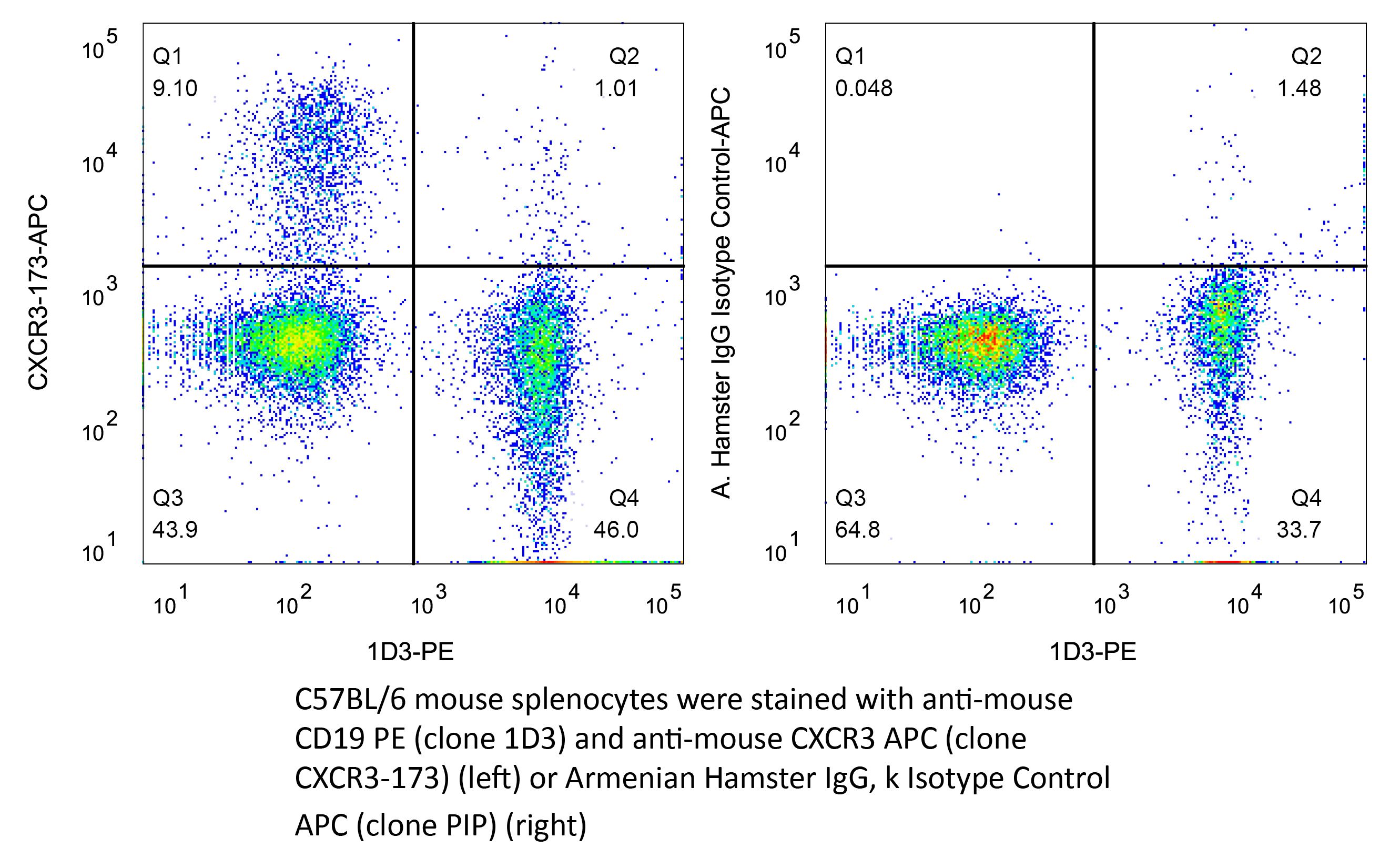 InVivoMAb anti-mouse CXCR3 (CD183) | Bio X Cell