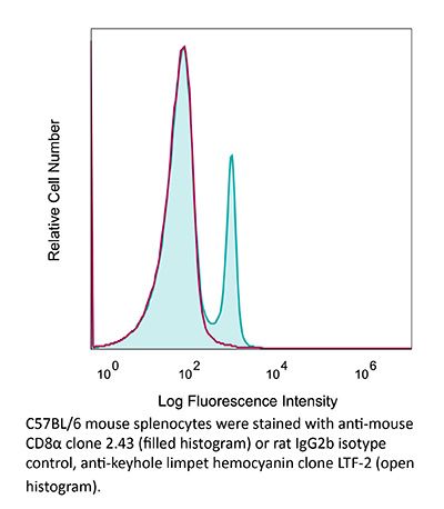InVivoPlus anti-mouse CD8α (Clone: 2.43) | Bio X Cell