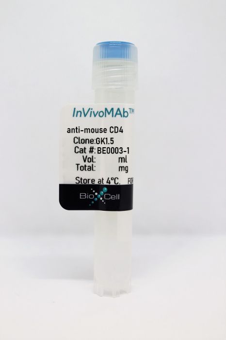 InVivoMAb anti-mouse CD4 (Clone: GK1.5)