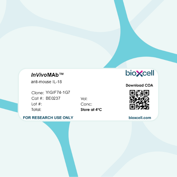 InVivoMAb anti-mouse IL-18 | Bio X Cell