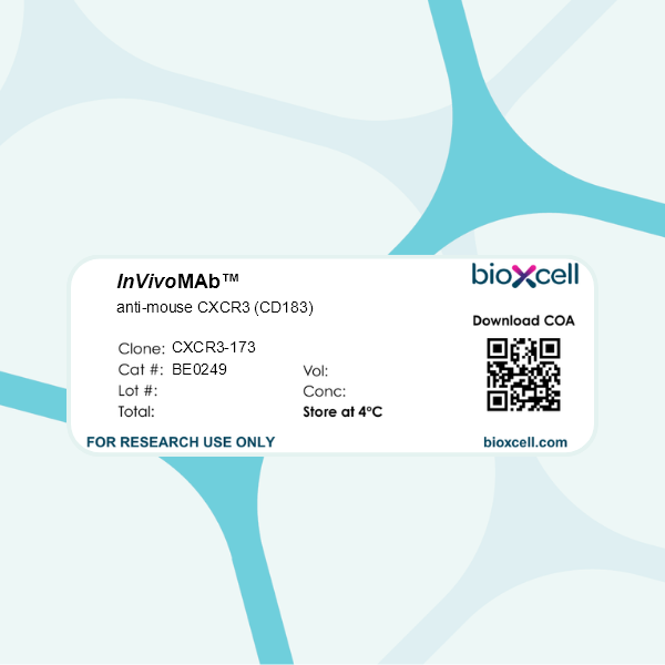 InVivoMAb anti-mouse CXCR3 (CD183) | Bio X Cell