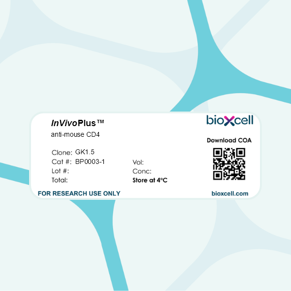 InVivoPlus anti-mouse CD4 (Clone: GK1.5) | Bio X Cell