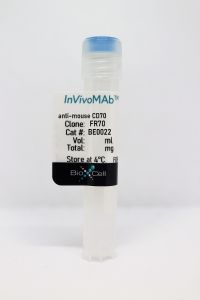 InVivoMAb anti-mouse CD70