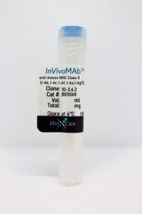 InVivoMAb anti-mouse MHC Class II (I-Ak, I-Ar, I-Af, I-As,I-Ag7)