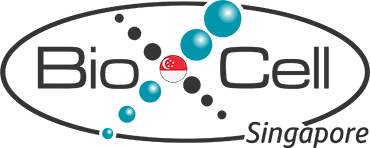 Singapore_thinner-bezel_extra-ball_outline
