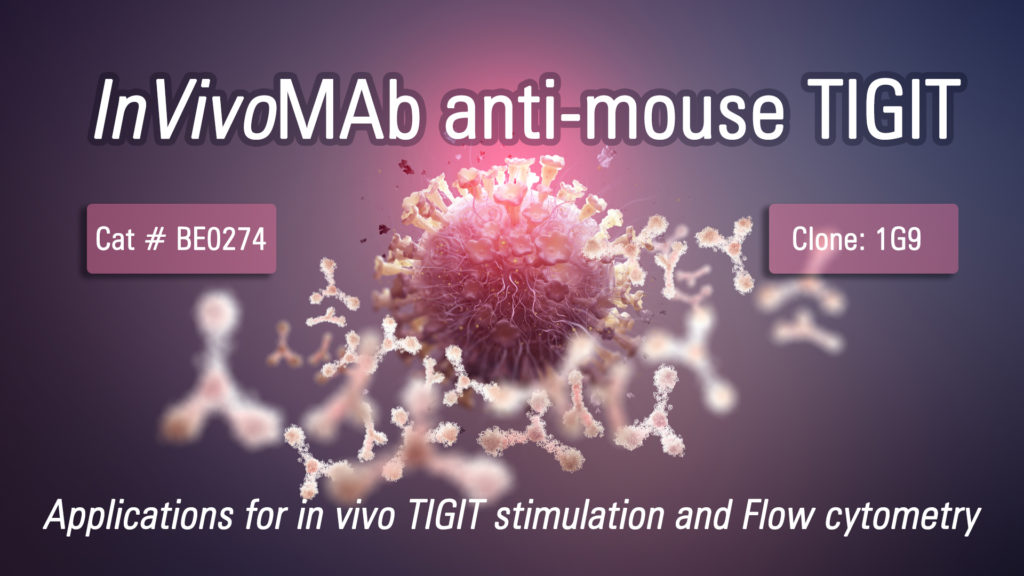InVivoMAb anti-mouse TIGIT