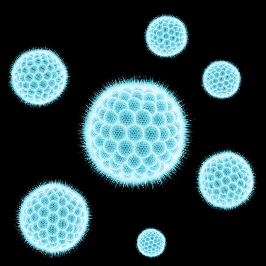 Ly6cLo non-classical monocytes promote resolution of rhesus rotavirus-mediated perinatal hepatic inflammation