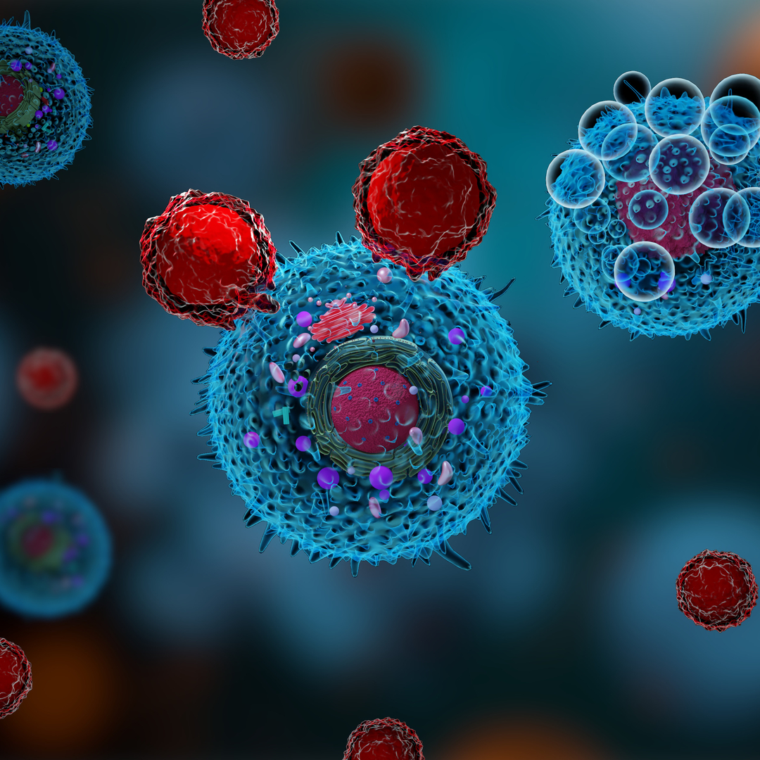 TREM2 Modulation Remodels the Tumor Myeloid Landscape Enhancing Anti-PD-1 Immunotherapy