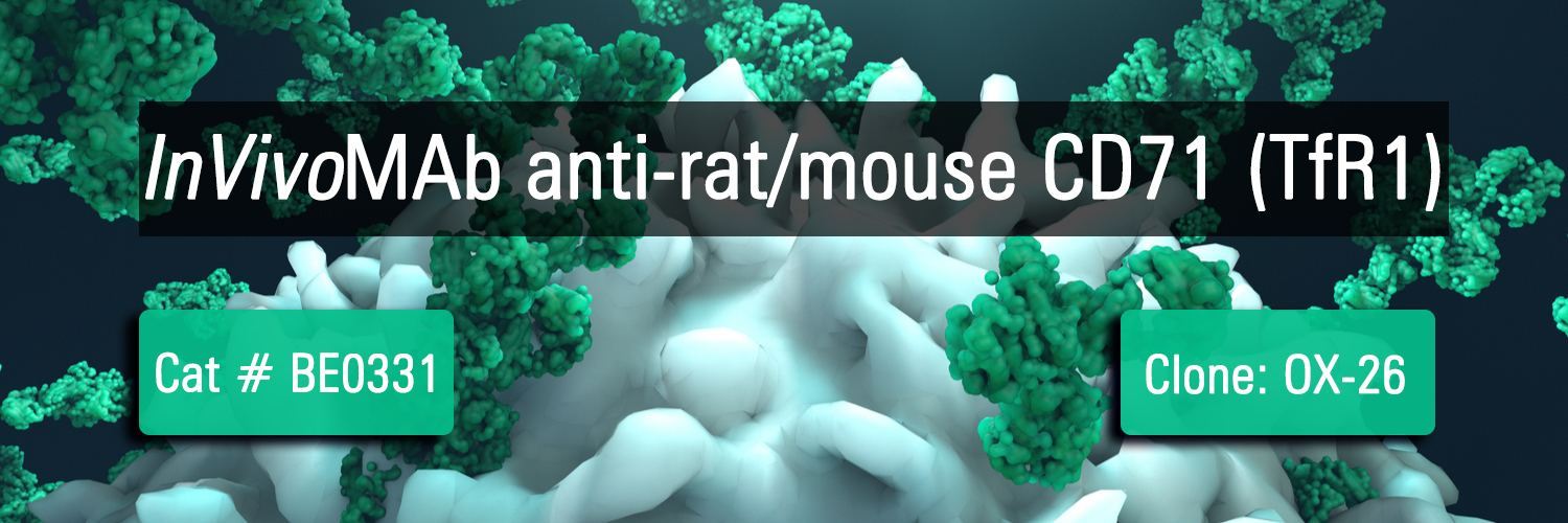 InVivoMAb anti-rat/mouse CD71 (TfR1)