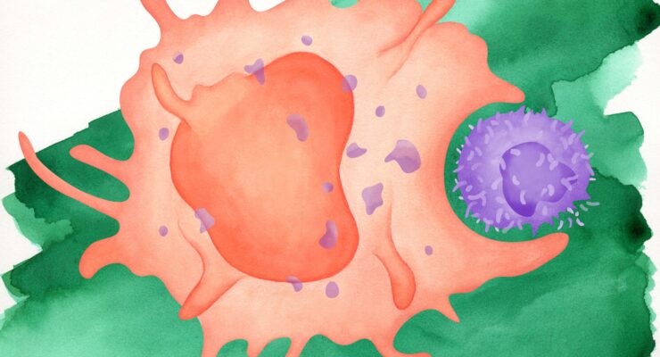 Macrophage cover illustration