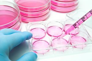 Aliquot of human-stem cells into the 6 well plate for cellular assay