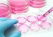 Aliquot of human-stem cells into the 6 well plate for cellular assay