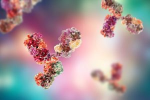 Molecular model of antibody taking part in immune defense. Molecule of immunoglobulin, 3D illustration