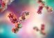 Molecular model of antibody taking part in immune defense. Molecule of immunoglobulin, 3D illustration