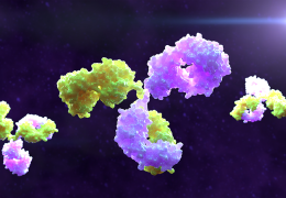 Bispecific antibodies transform the cancer immunotherapy landscape by optimizing opportunities for targeted treatment.