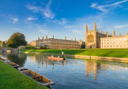 Bio X Cell Appoints Cambridge Bioscience as Exclusive UK & Ireland Distributor