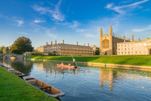 Bio X Cell Appoints Cambridge Bioscience as Exclusive UK & Ireland Distributor
