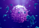 Tools for the Next Generation of Therapeutic Research