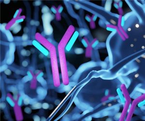 3D rendered antibodies