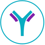 Antibody Engineering Services