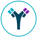 About Multispecific Antibodies