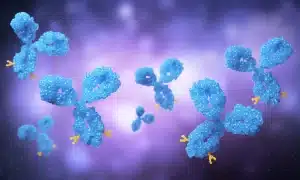 Isotype Control Antibodies
